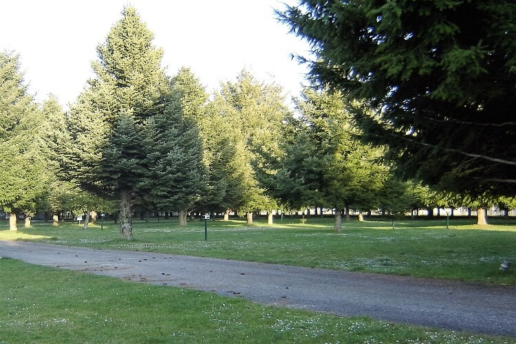 Camping La Fattoria